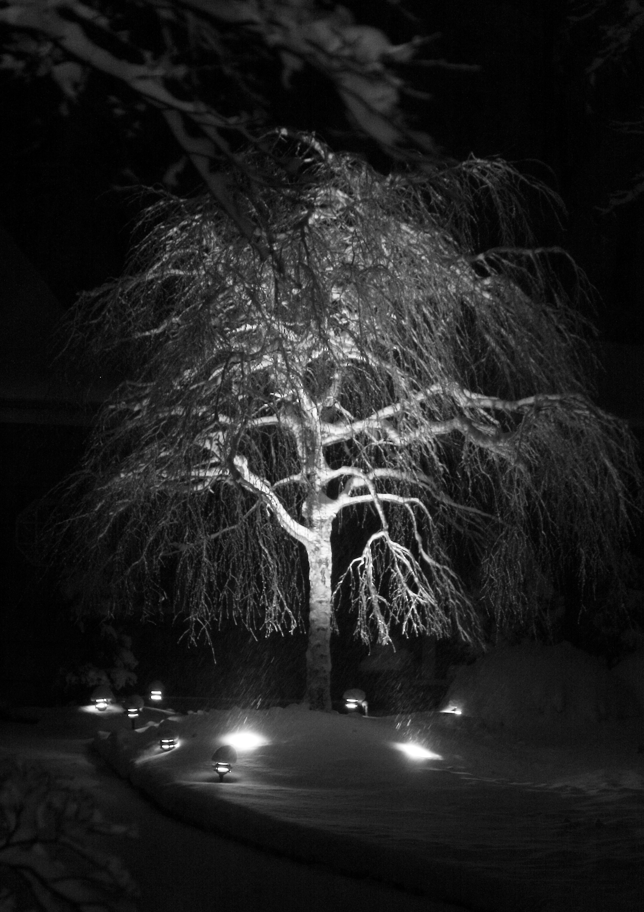 2010 02 10 IMG 8323ebw